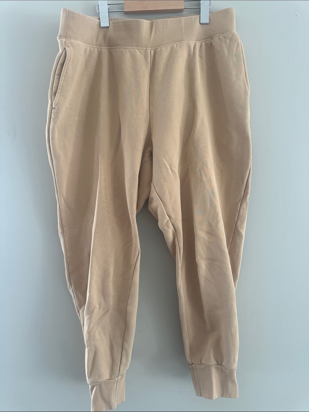 TNA Cozy AF fleece sweatpants Aritzia
